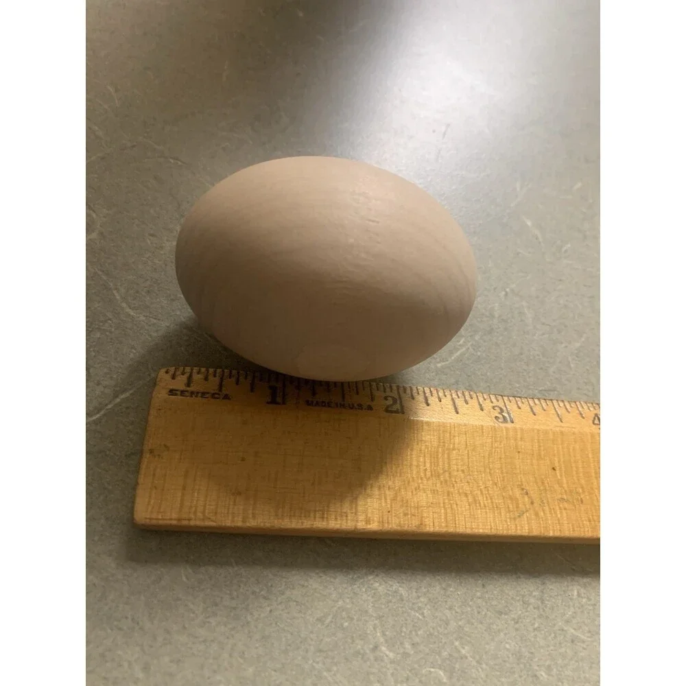 Wooden Large Eggs In Carton  24ct